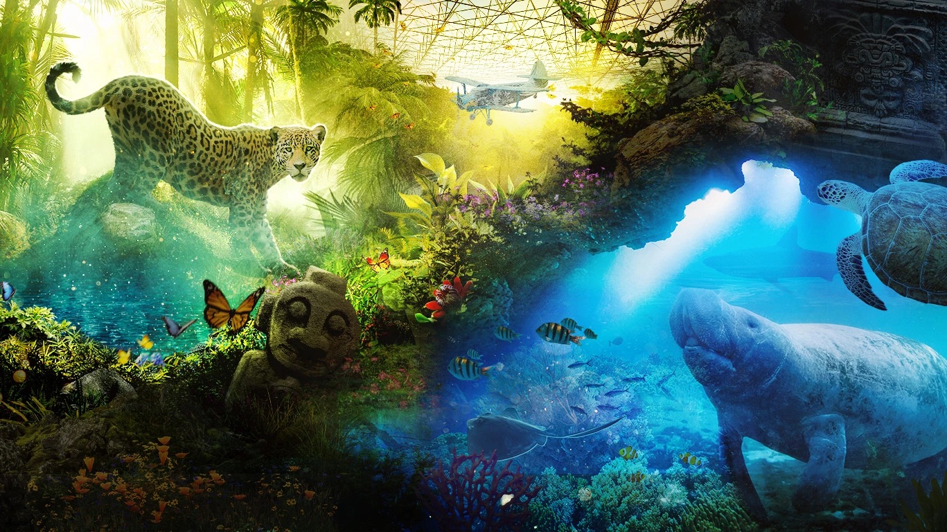Illustrative photo of Edenya